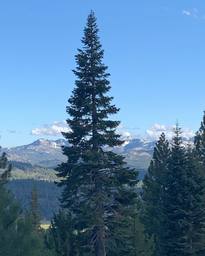2020-06-17_05-24-45_UTC