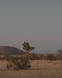 2024-06-26_07-08-22_UTC