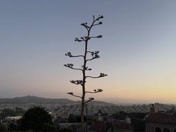2026-03-10_05-04-52_UTC